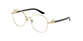 Dolce & Gabbana DG1339 02